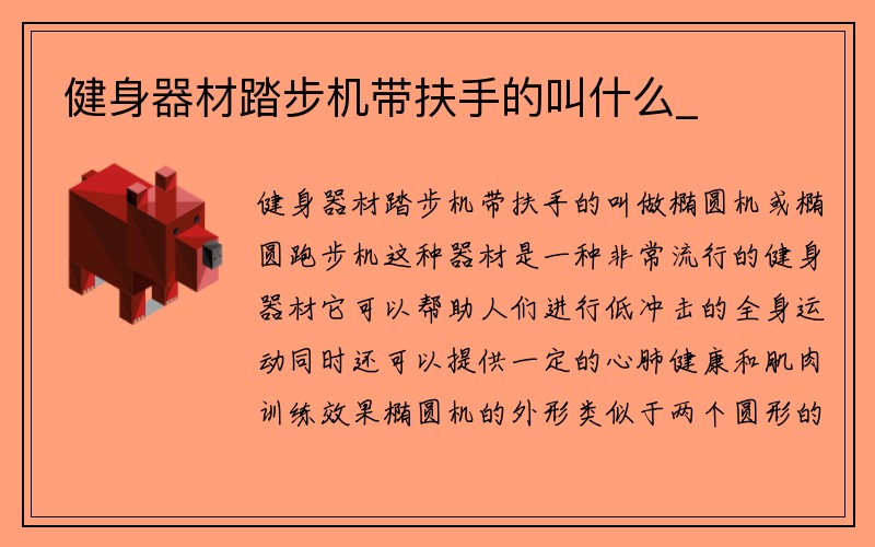 健身器材踏步机带扶手的叫什么_